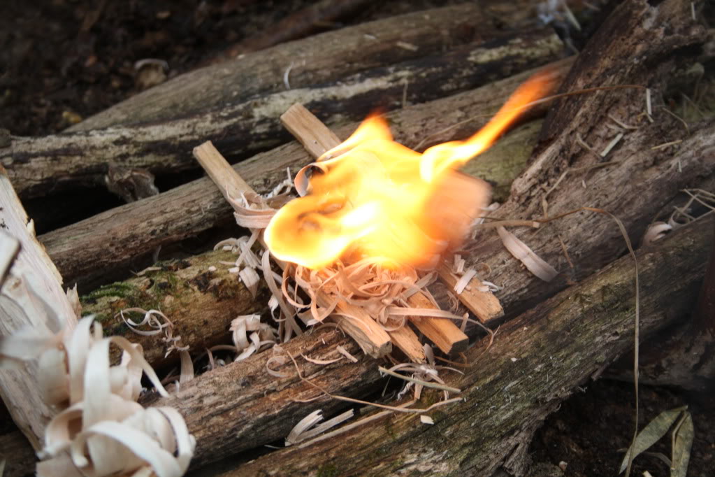 BUSHCRAFT(lean to shelter) IMG_2254