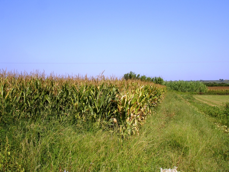 Δυτική Πελοπόννησος - Summer touring 2012 DSC00108