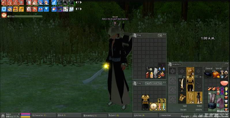 [GAME] What's your Google Image? - Page 2 Mabinogi_2011_12_31_002