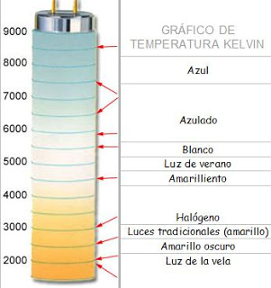 Mezcla Amazónica 300l - Página 2 Xenon1