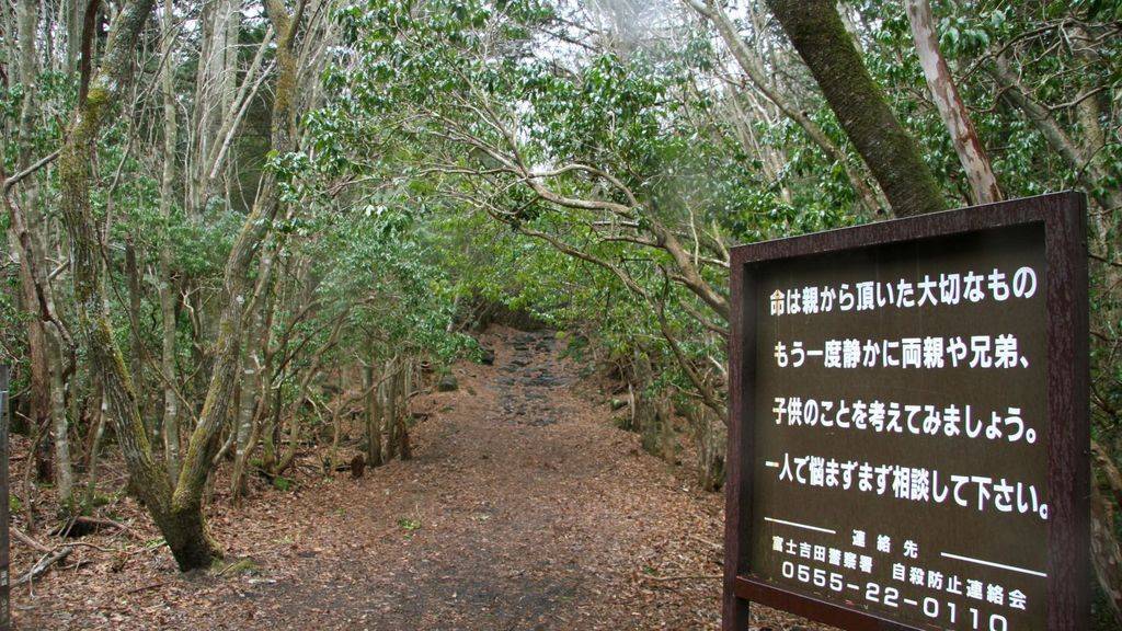 Suicides in Japan drop to 22-year low in 2016 Suicide-forest-japan-times_zpsjod0oufu