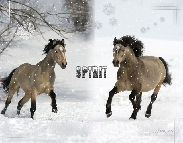 Spirit(frre de liys perso a venir ) Spirit