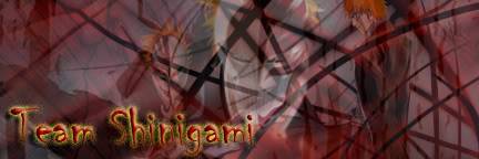 adragnstear Sig Shop Shinigami2Sig