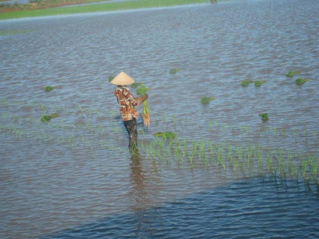 trong - Miền Bắc Hè 2009 - Chuyến đi trong mơ MienBac2009NgayMotMayBeMy37