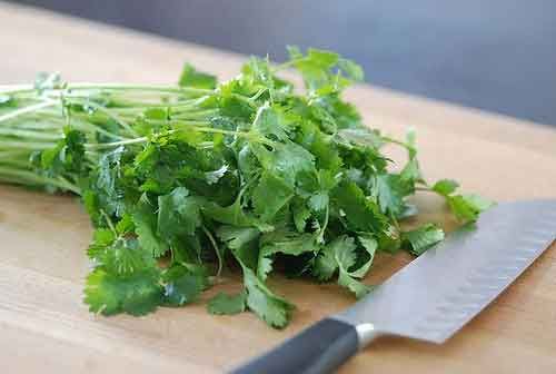 El cilantro y sus propiedades nutritivas ( recomendado leer ) Cilantro3