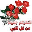 كلمات من ذهب خمس وخمس A4515272