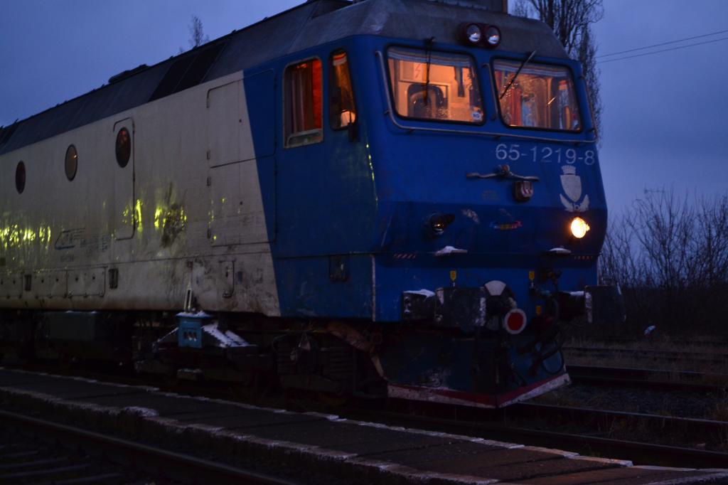 Locomotive clasa 63 si 65 - Pagina 2 DSC_0298