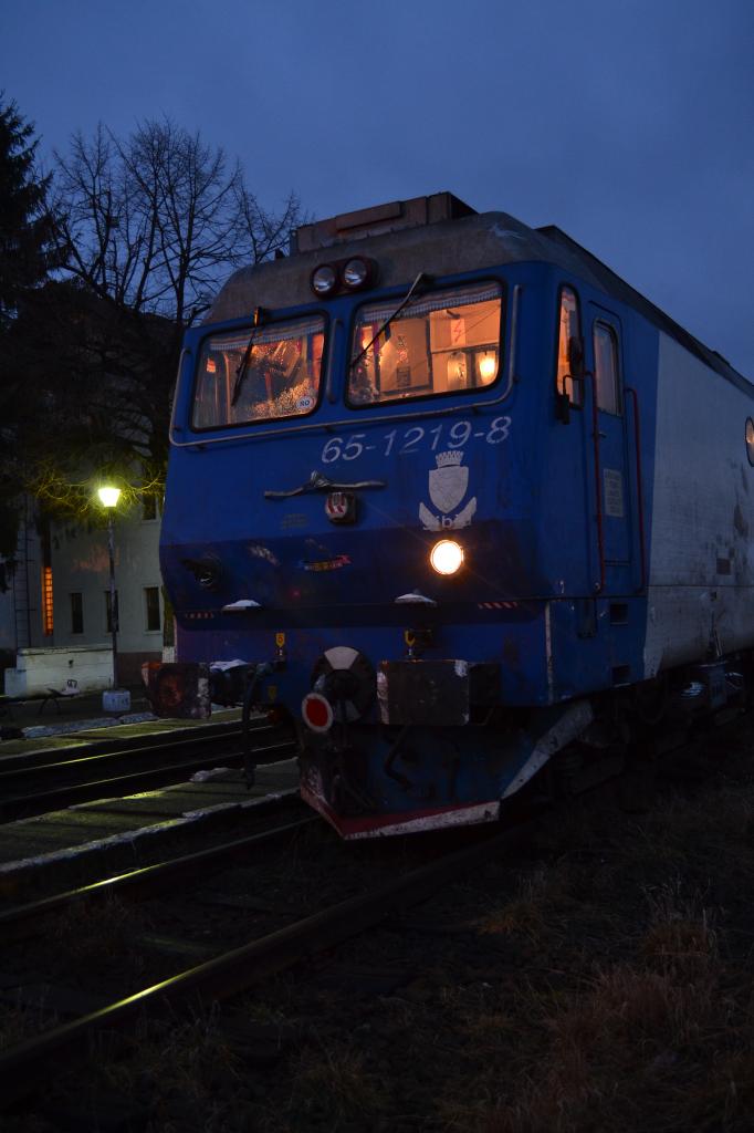 Locomotive clasa 63 si 65 - Pagina 2 DSC_0306