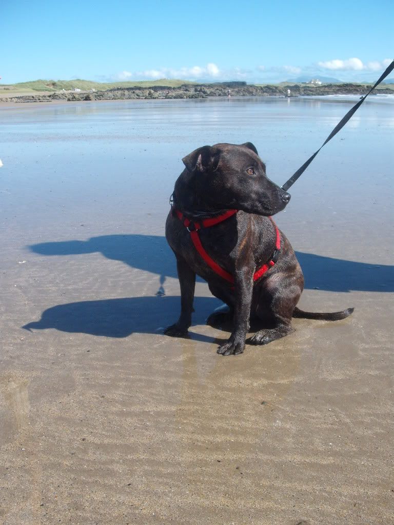 Kia down at the beach DSCF7022