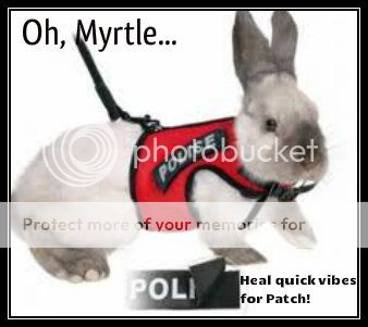 more vibes for patch  Bunny-policeman-Patch_zps57f43bd5