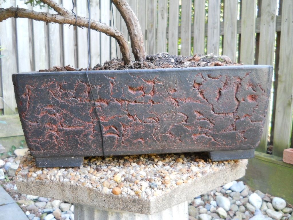 Identify a bonsai pot? 436086c1-f81c-458a-abf3-b109ba4b9013_zpsqe2ss0te