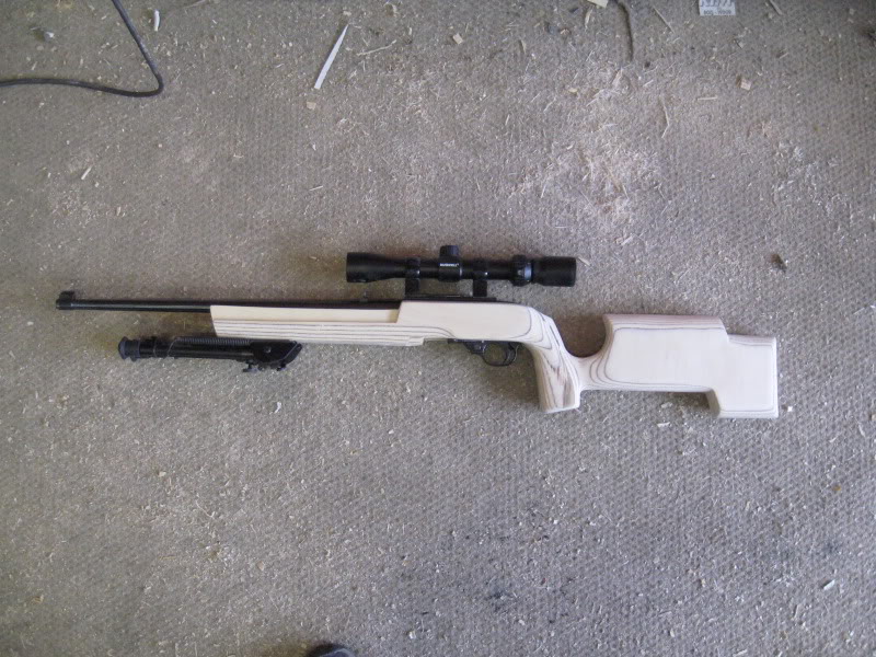 Nouvelle crosse pour ma Ruger 10/22 Ruger1005