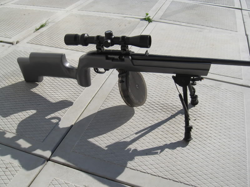 Nouvelle crosse pour ma Ruger 10/22 Ruger2004