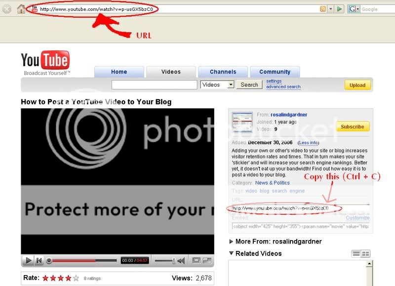 how to post video clip from youtube in this forum Untitled1