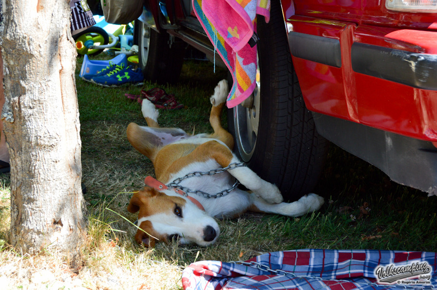 VOLKSCAMPING 2015 - 3/4/5 de JULHO - Página 3 DSC_0410_zpswdimkgj7