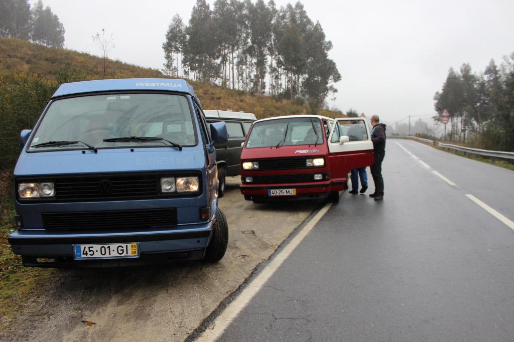 CARNAVAL VW T3  2015 IMG_9075Copy_zps19f0a954