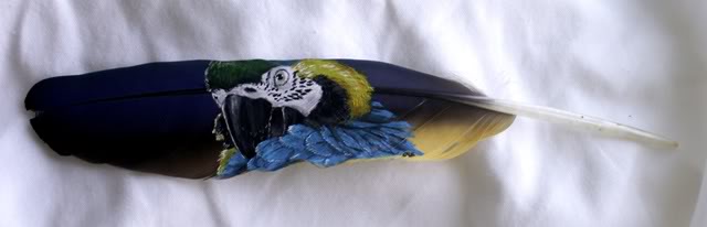 My feather painting! 6-22-12macawfeather002