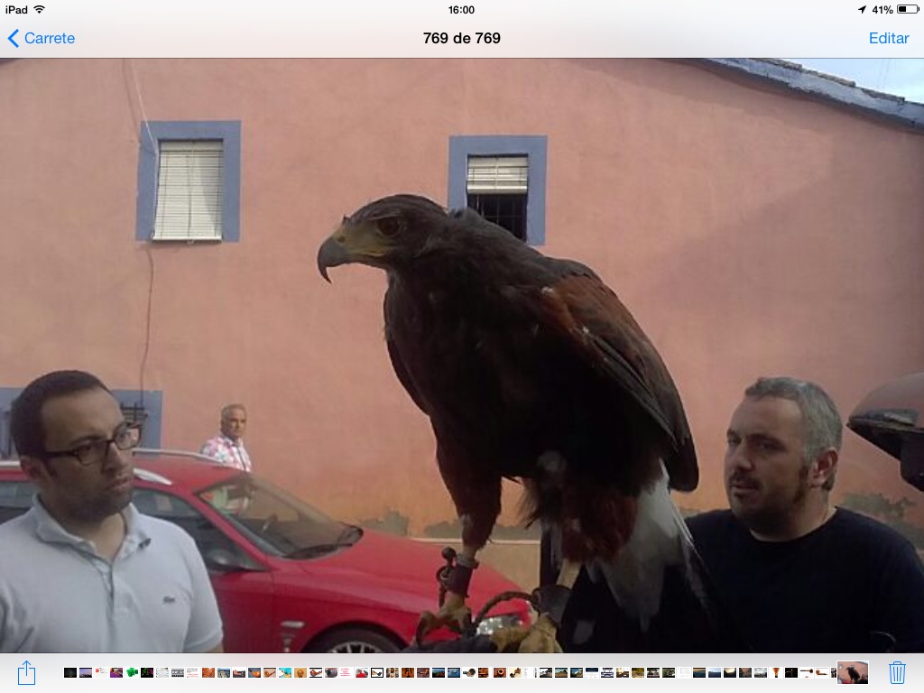 Pipas, cava y halcones...Club Garraf/Penedes...con mucha "Garra" Image_zpsea7ba936