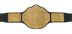 World Heavyweight Champion