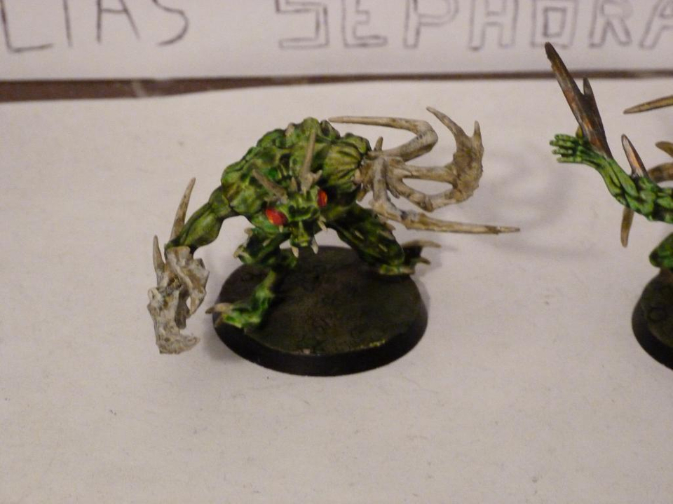 [Rikikileur / Chaos] 2 Enfants de Nurgle - 72 pts P1060229_zpsadb1e1f6