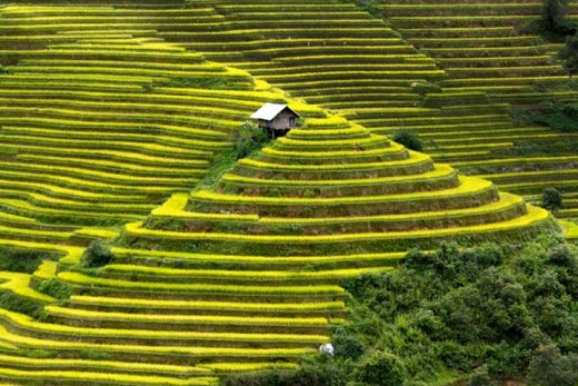 Kinh nghiệm du lịch bụi Sapa hai ngày 1 đêm cực ít chi phí , tốt đẹp Du-lich-mu-cang-chai-1_zpsyfunplu1