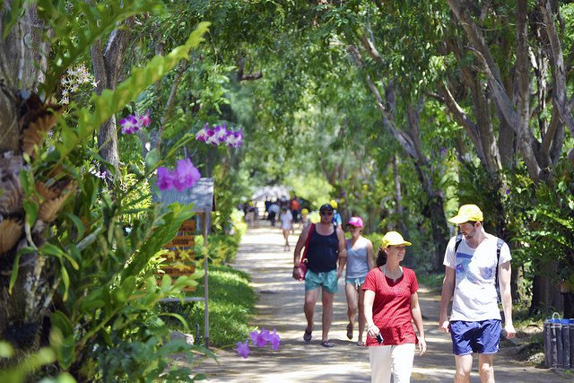 Du lịch 9 điểm đến ấn tượng trong bán đảo Hòn Hèo Kham-pha-9-diem-den-an-tuong-trong-ban-dao-hon-heo-1_zpsllagspuj