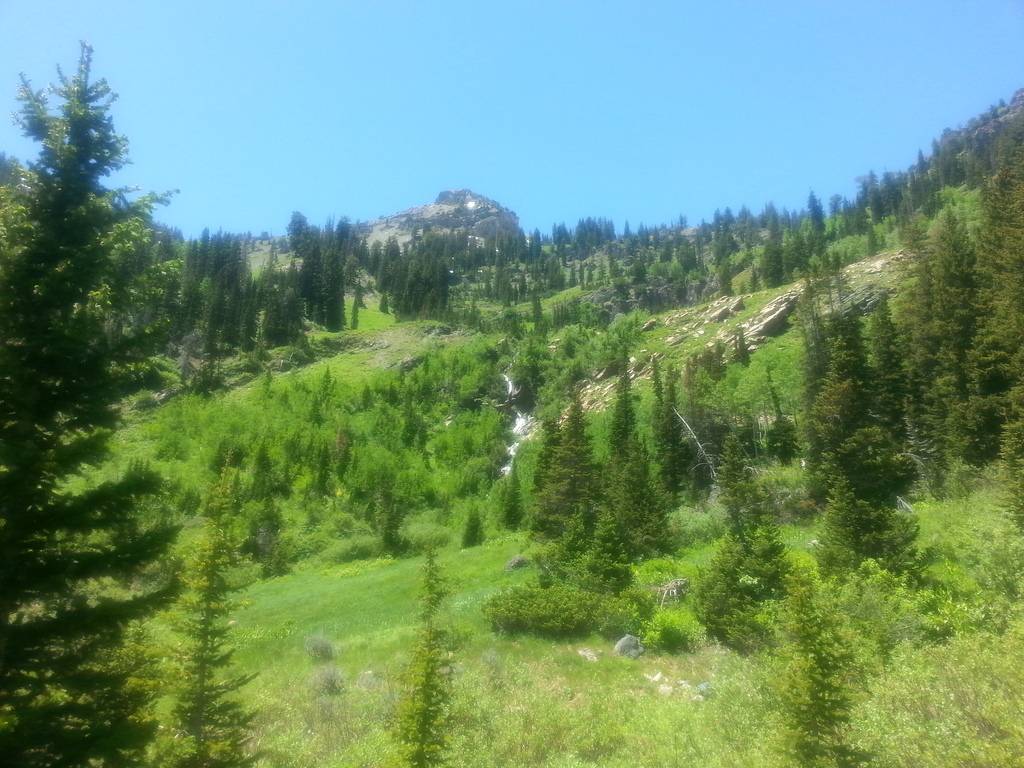 Mary Ellen and Miller Hill. 20150618_132242_zpssfukx4xm