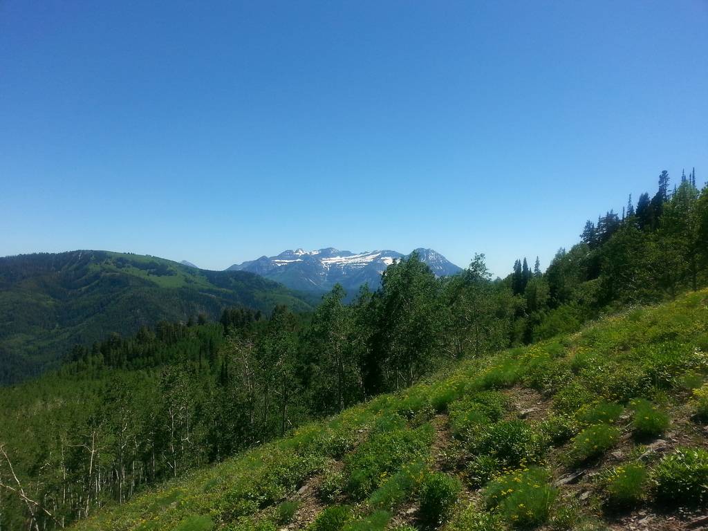 Mary Ellen and Miller Hill. 20150618_152812_zpsfohbxmbw