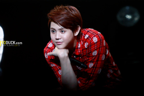 [TỔNG HỢP] [PICS] Yoseob @ ZEPP TOUR Tumblr_mck1rgGyV11qzjehuo1_500