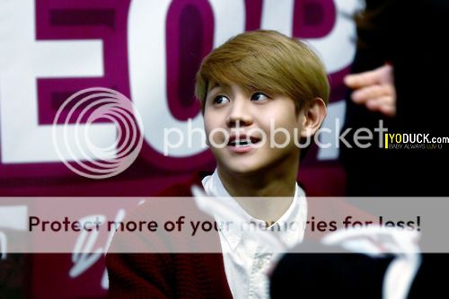 [PICS][06.12.12] Yoseob @ Shindorim Fan Signing Tumblr_mem6wtwzB61rq0dcro1_500