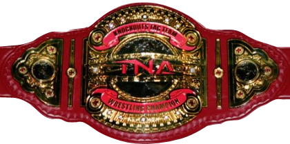 W.E.N Divas Tag Team Championship 189111aLERKdtz