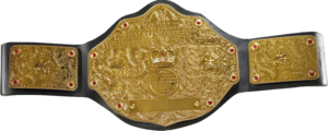 W.E.N World Heavyweight Championship 189317B9m2ClAn