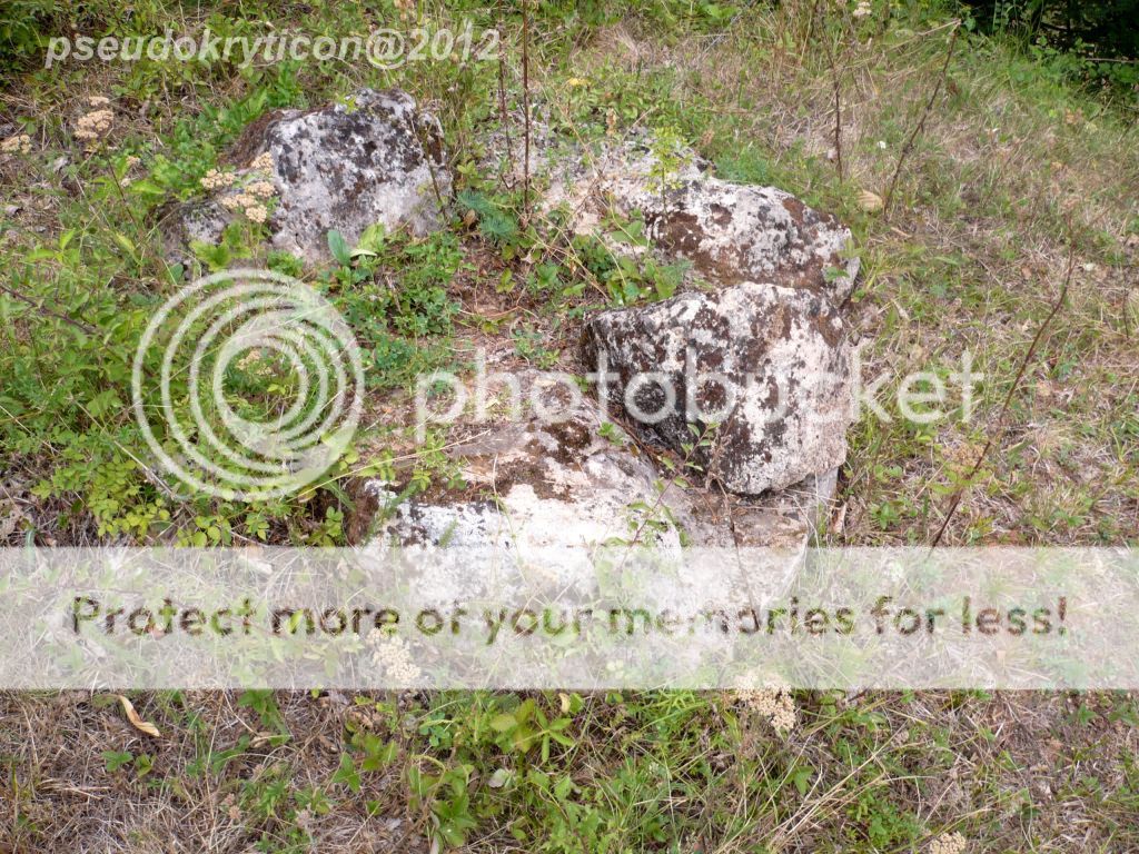 CETATEA DACICA de la COSTESTI (HD) - CETATUIA 20120731-22-CetateaCostesti-057