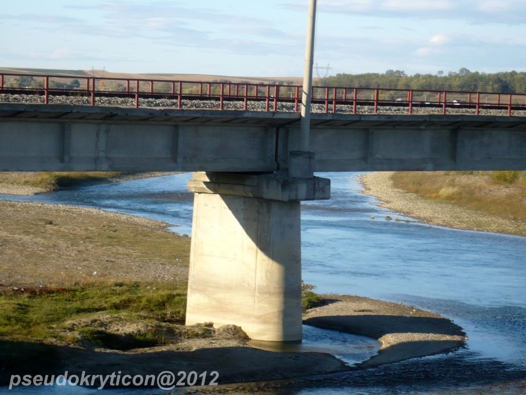 VIADUCTE,PODURI, PUNŢI                                 - Pagina 4 P1240488