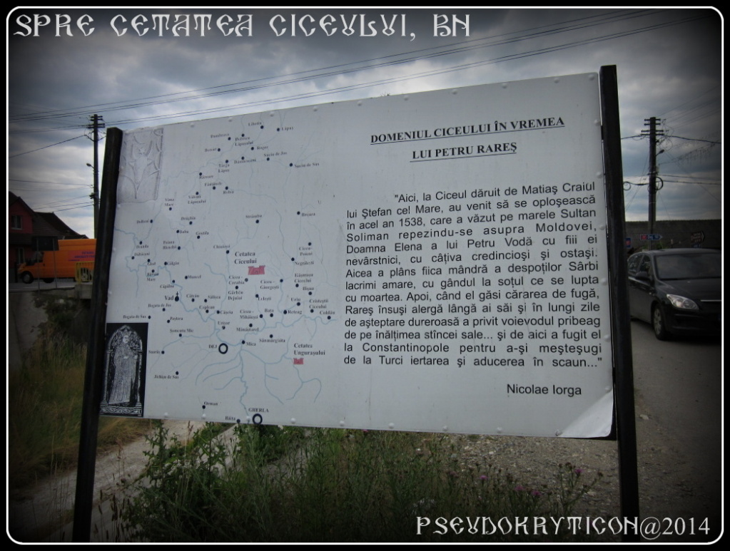 Cetatea CICEULUI, BN 20140622-2-CetateaCiceului-008_zps236ad475