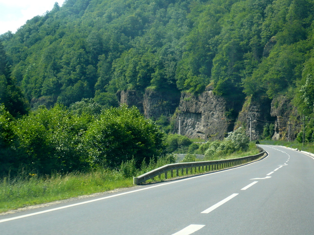 Defileul TOPLITA - DEDA 20140618-5-ValeaMuresului-010_zps236da433