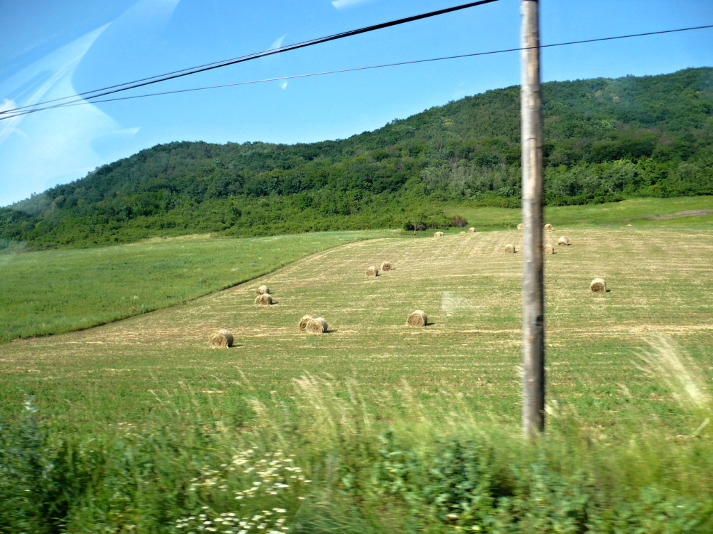 Defileul TOPLITA - DEDA 20140618-5-ValeaMuresului-018_zps667fcfd3