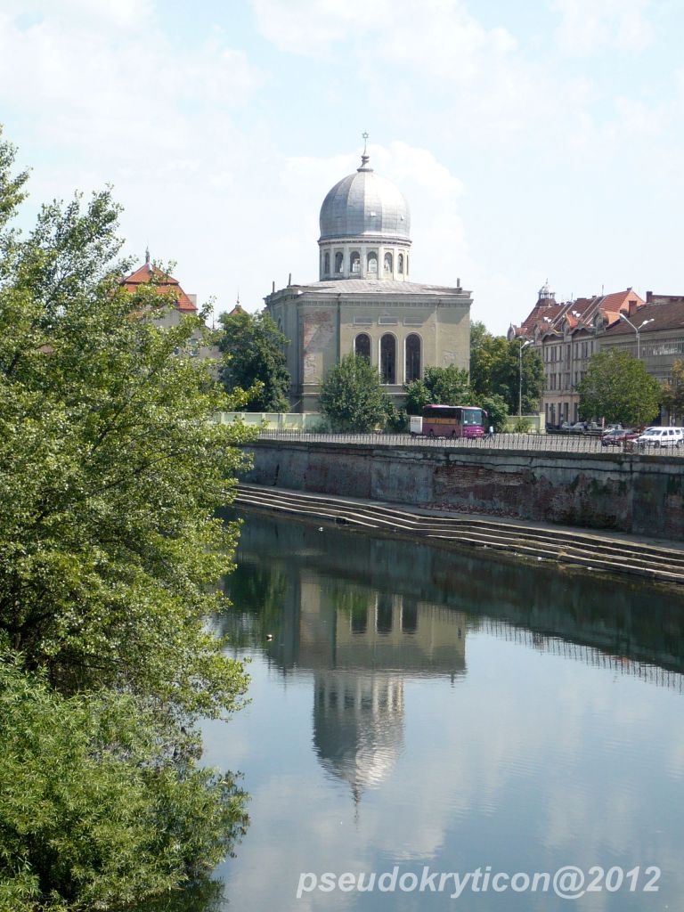 FEDERATIA COMUNITATILOR EVREIESTI DIN ROMANIA 20120729-12-Oradea-072