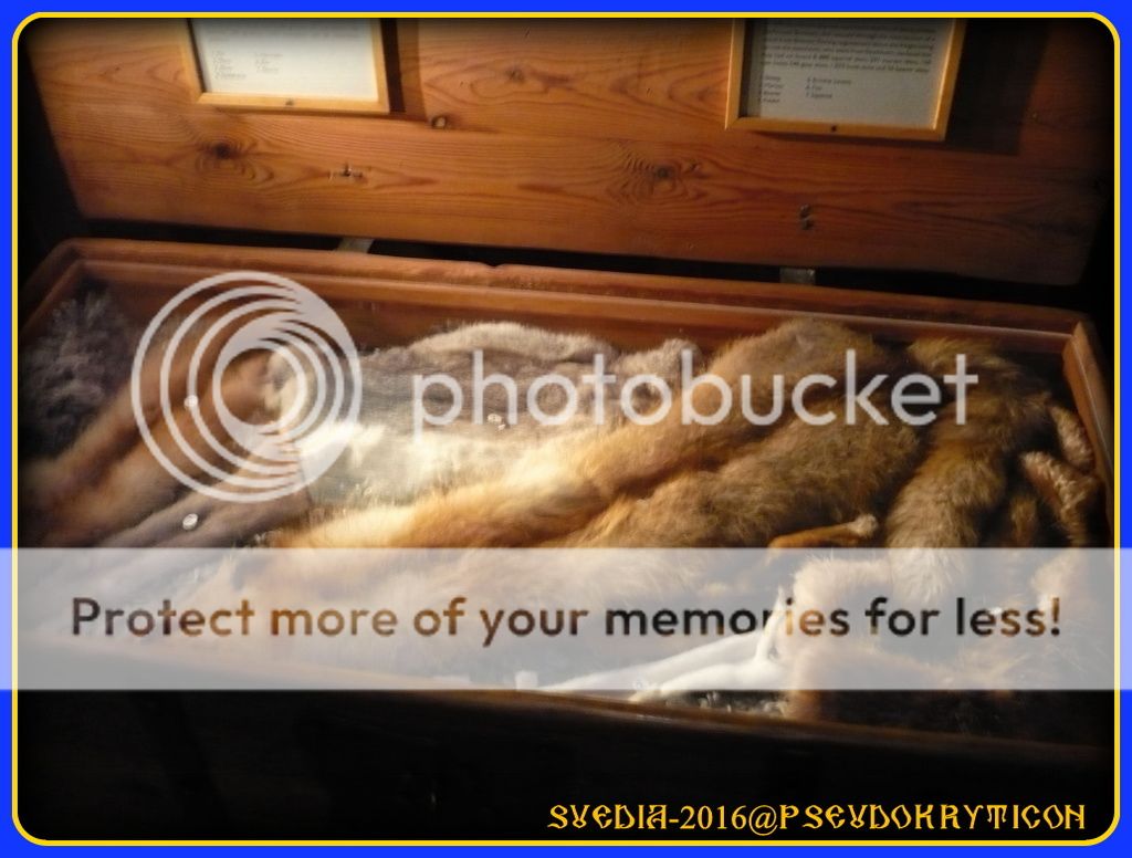 SUEDIA - Stockholm - Pagina 2 2016042716-Muzeu%20MEDIEVAL%20-132_zpsqyq3rdkr
