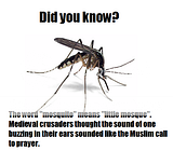 Muslims! Muslims! Buzzz Th_1361683706568