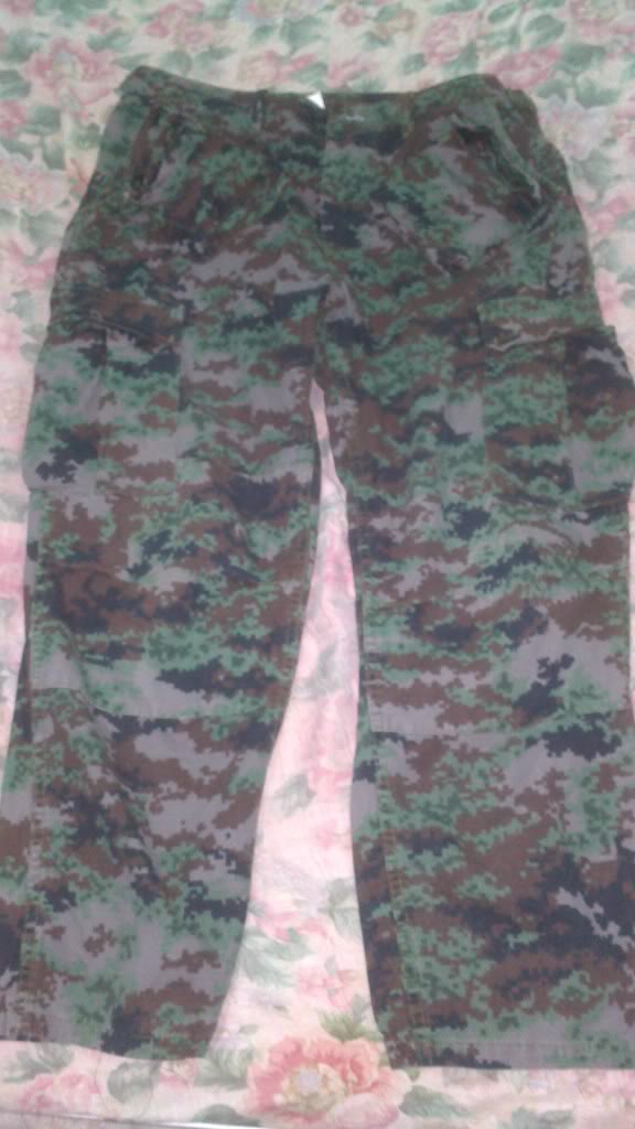 PNP DPM blue and purple camo uniform and PNP SAF digital uniform 53A3FA0D-orig_zpsb3a76a43