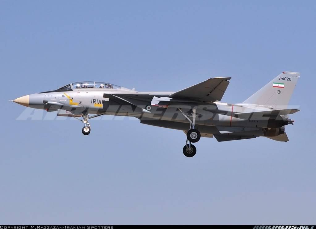 Armée Iranienne F14ir