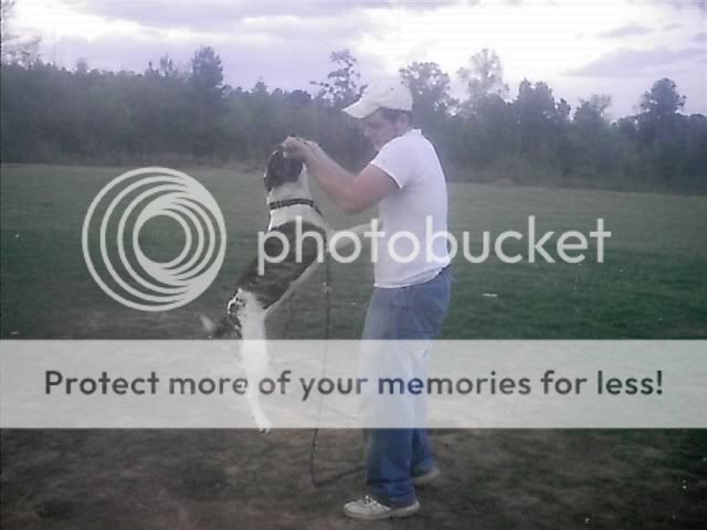 Photobucket - Video and Image Hosting