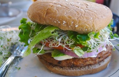 Hamburguesas vegetales. Veggie20burger