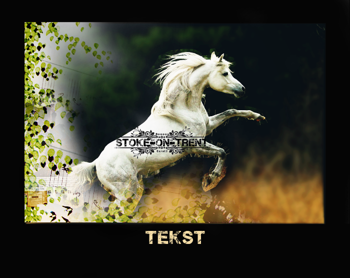 {TK} Stoke-On-Trent || special portraits Welshponyvoorhs