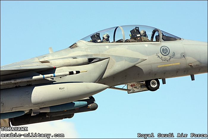 القوات الجوية الملكية السعودية F15 _ Royal Saudi Air Force 080214_3189FC