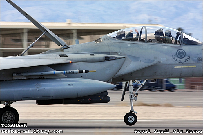 القوات الجوية الملكية السعودية F15 _ Royal Saudi Air Force 080214_3635FC