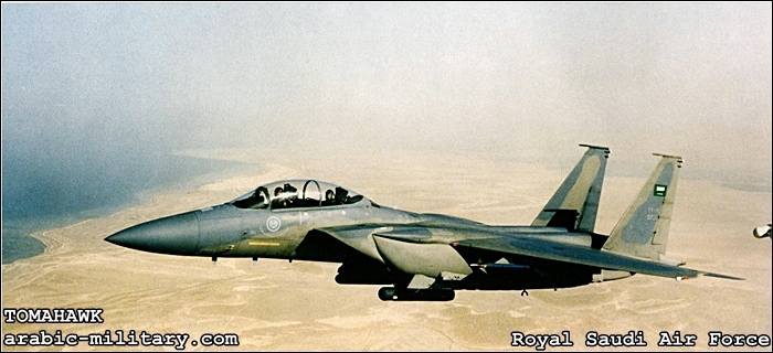 القوات الجوية الملكية السعودية F15 _ Royal Saudi Air Force 106a4dc949