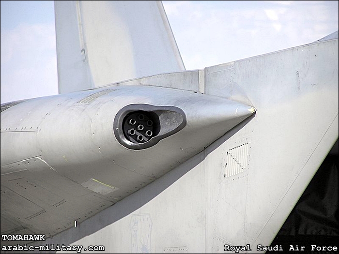 القوات الجوية الملكية السعودية F15 _ Royal Saudi Air Force 1310051712102