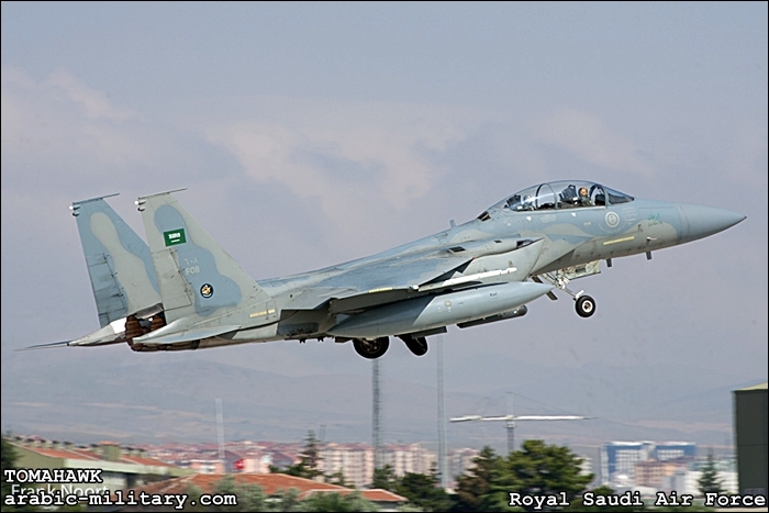 القوات الجوية الملكية السعودية F15 _ Royal Saudi Air Force 13184496056